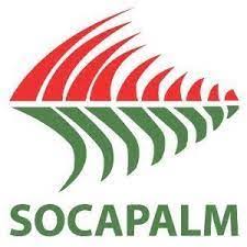 SOCAPALM — Premier producteur d'huile de palme brute et palmiste au Cameroun Logo SOCAPALM — Société Camerounaise de Palmeraies, client Generalia Assurances